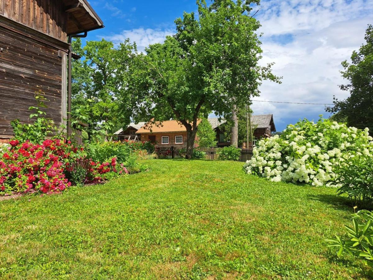 Апартаменты Turisma Mitne Zviedri