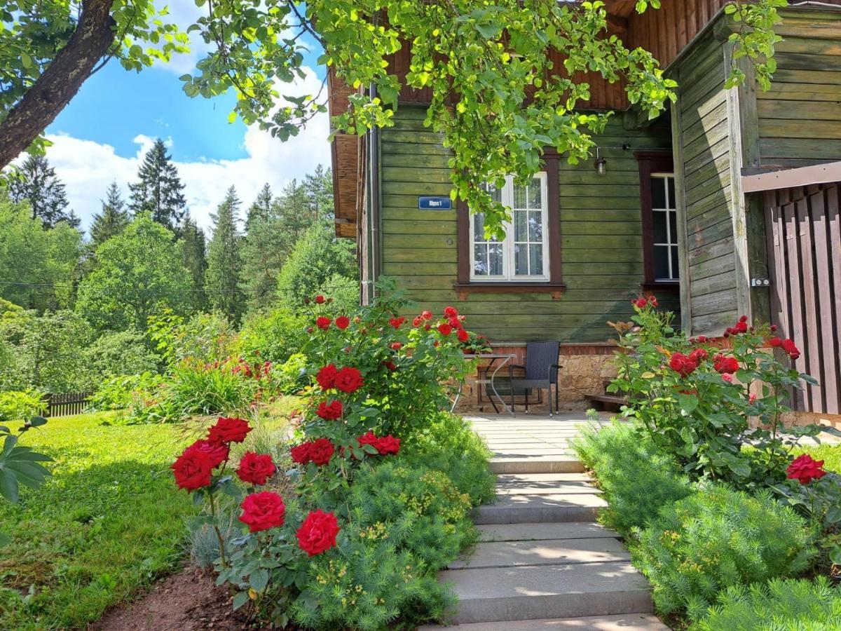 Apartment Turisma Mitne Zviedri *